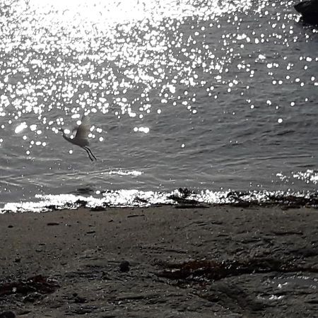 Appartement Proche De La Mer Guilvinec Bagian luar foto
